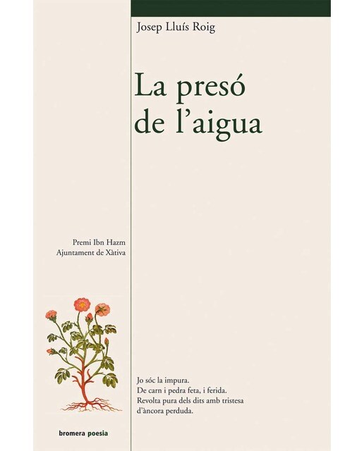La presó de l'aigua