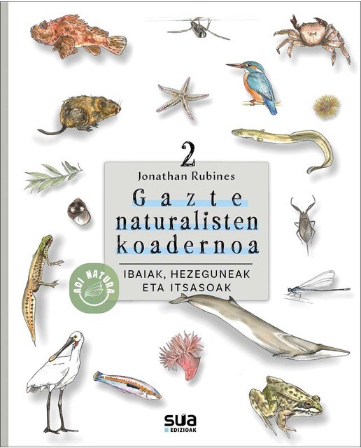 Ibaia, hezeguneak eta itsasoak: Gazte naturalisten koadernoa (Capa mole) 1