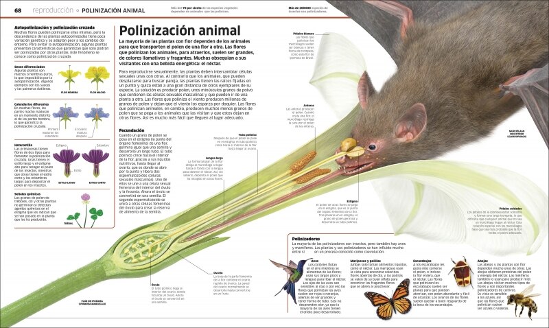 Plantas y hongos (Mundo 3D): El reino vegetal como nunca antes lo habías visto (Tapa dura) 7