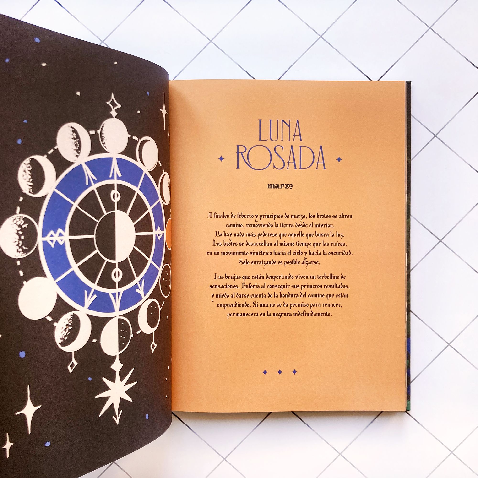 La vida secreta de las brujas 2
