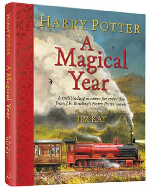 Harry potter a magical year 1