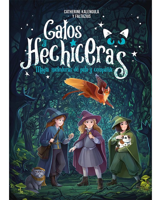 Imagen 0 de Gatos y hechiceras (Tapa dura)