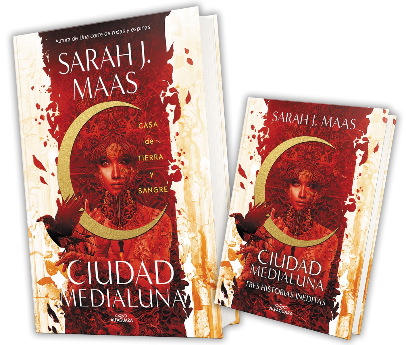 Casa de tierra y sangre (Ciudad Medialuna 1) (Capa mole) 1