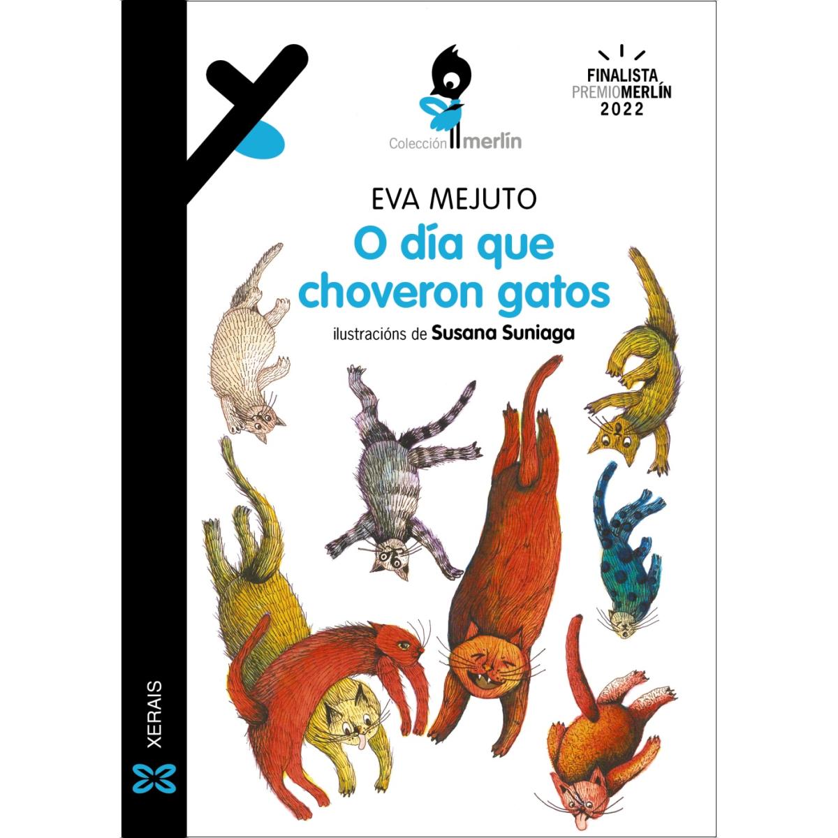O día que choveron gatos (Capa mole com abas) 1