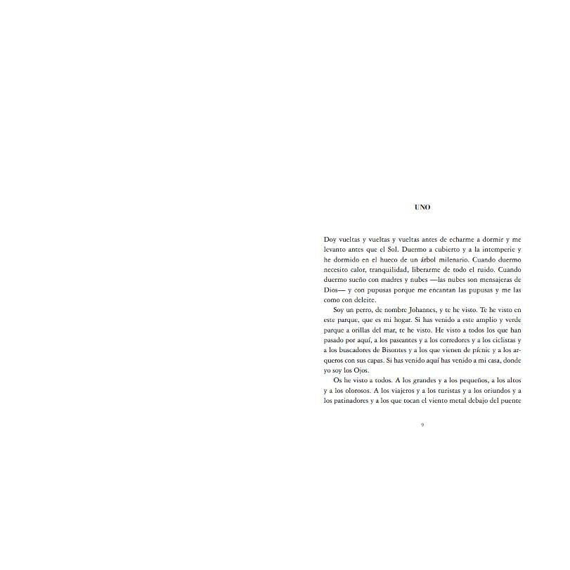 Los Ojos y lo imposible 2