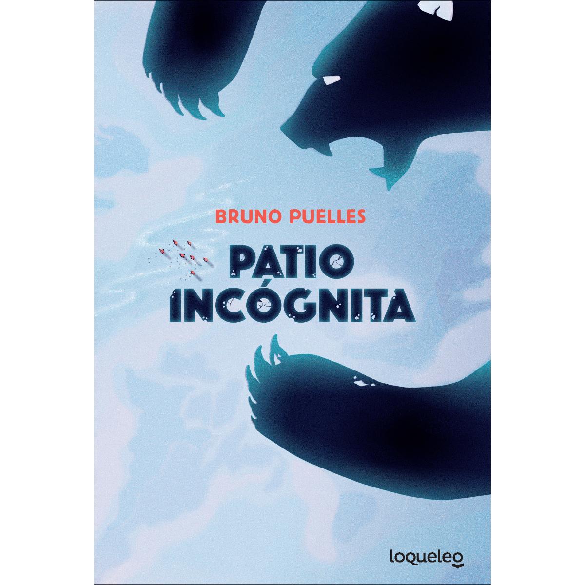 Imagem 0 de Patio incógnita (Capa mole)