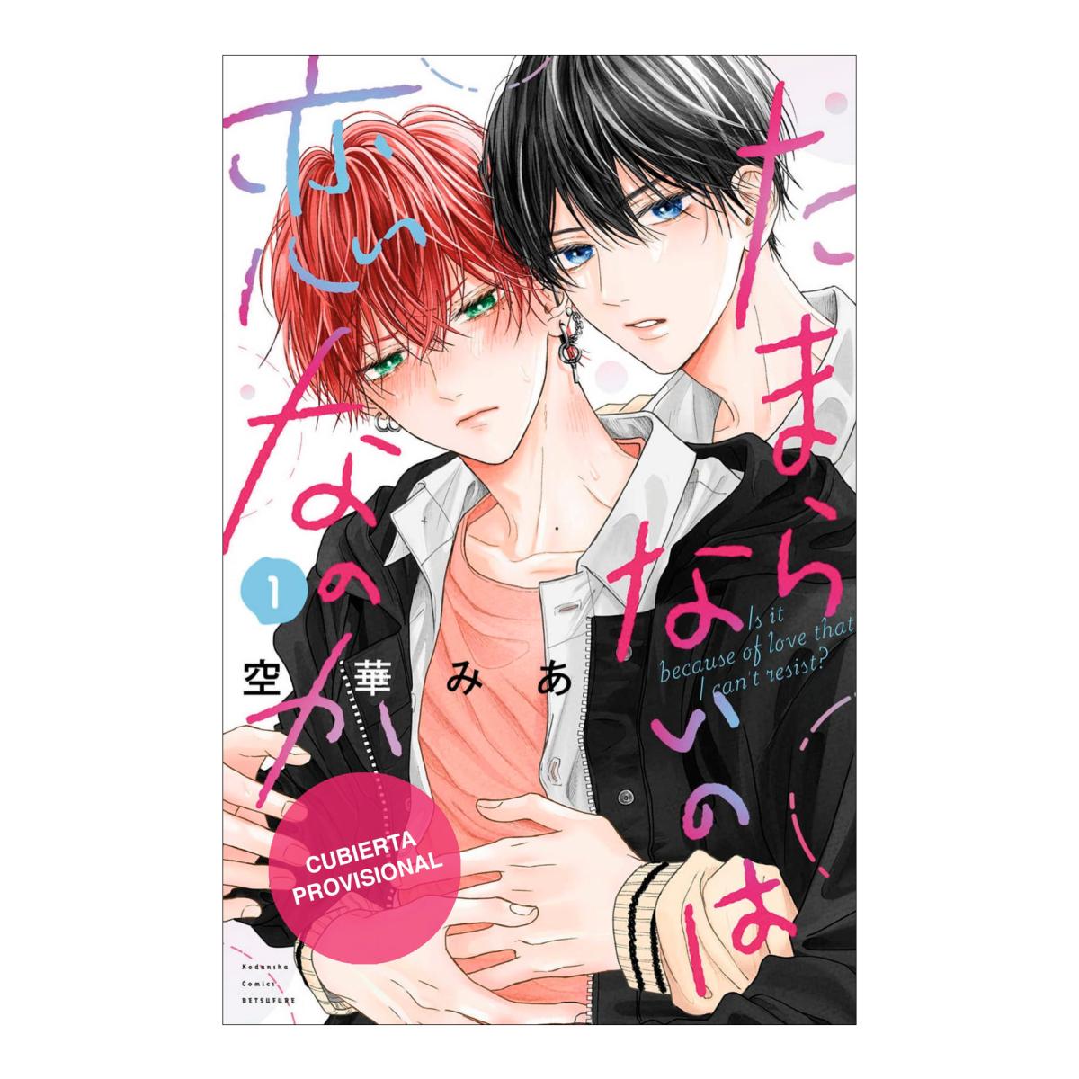 Imagem 0 de BREAKING ME SOFTLY. ¿SERÁ AMOR ESTA EMOC (Capa Mole)