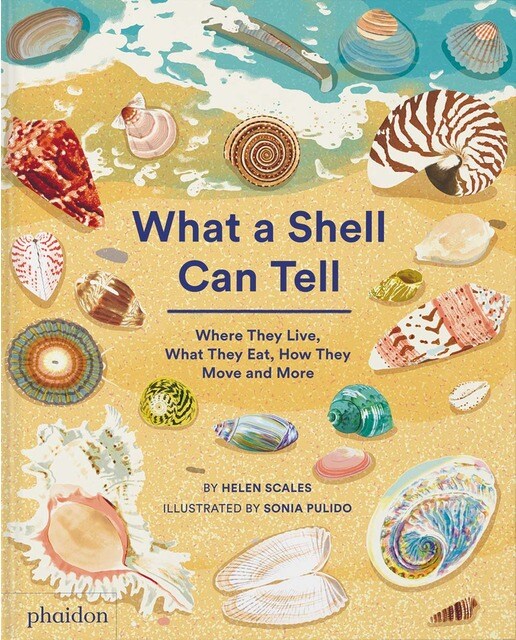 What a shell can tell 1