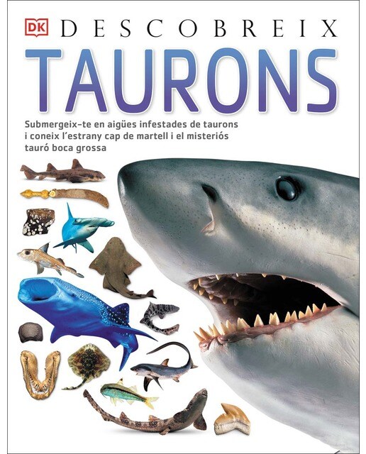 Taurons, Descobreix