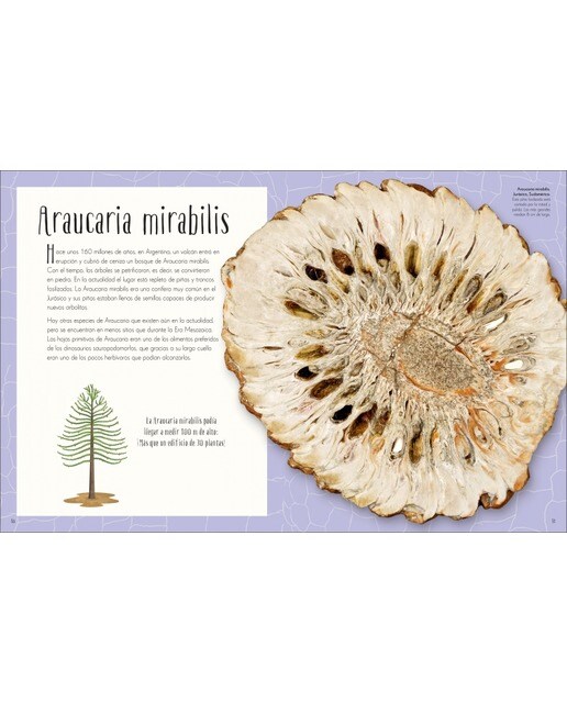 Antología de dinosaurios y vida prehistórica (Planeta curioso) (Tapa dura) 4
