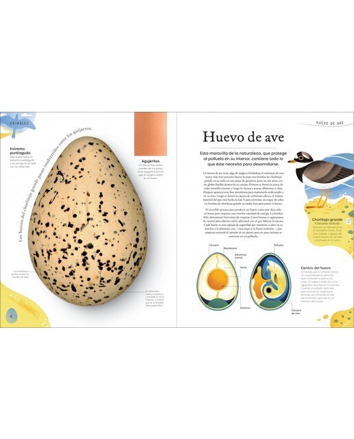 Tesoros de la naturaleza (Planeta curioso) (Tapa dura) 3