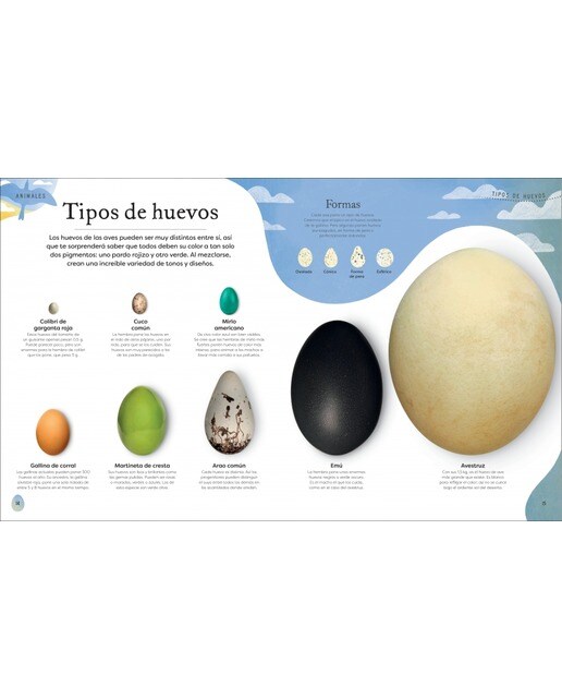Tesoros de la naturaleza (Planeta curioso) (Tapa dura) 4