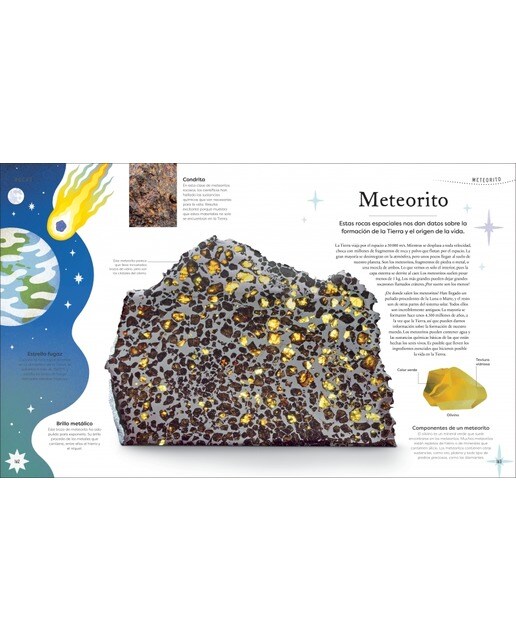Tesoros de la naturaleza (Planeta curioso) (Tapa dura) 7