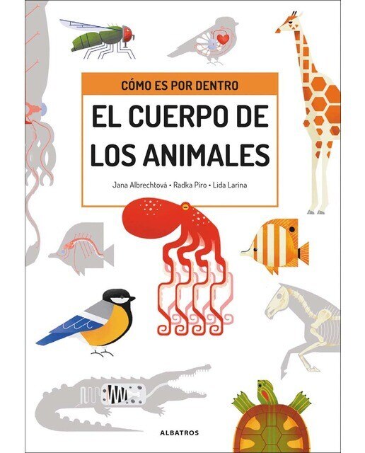 Como es por dentro el cuerpo de los animales