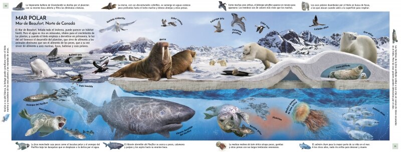 Hábitats del mundo: Un viaje por los ecosistemas de la Tierra (Tapa dura) 2