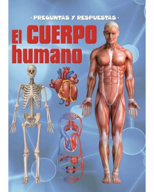 Preguntas y respuestas el cuerpo humano
