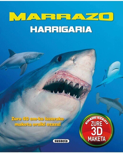Marrazo harrigaria (Capa dura) 1