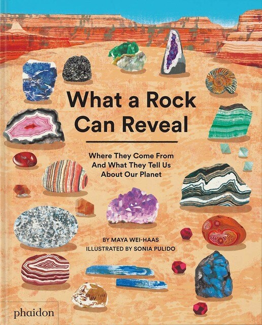 What a rock can reveal 1