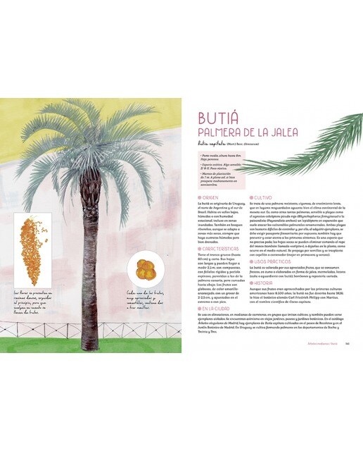 Árboles de tu ciudad (Pequeña escuela de la vida con El Hematocrítico): Pequeña escuela de la vida con El Hematocrítico  (Tapa blanda) 3