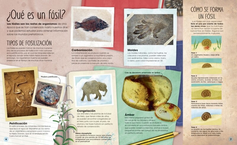 Imagen 2 de La vida secreta de los dinosaurios  (Tapa dura)