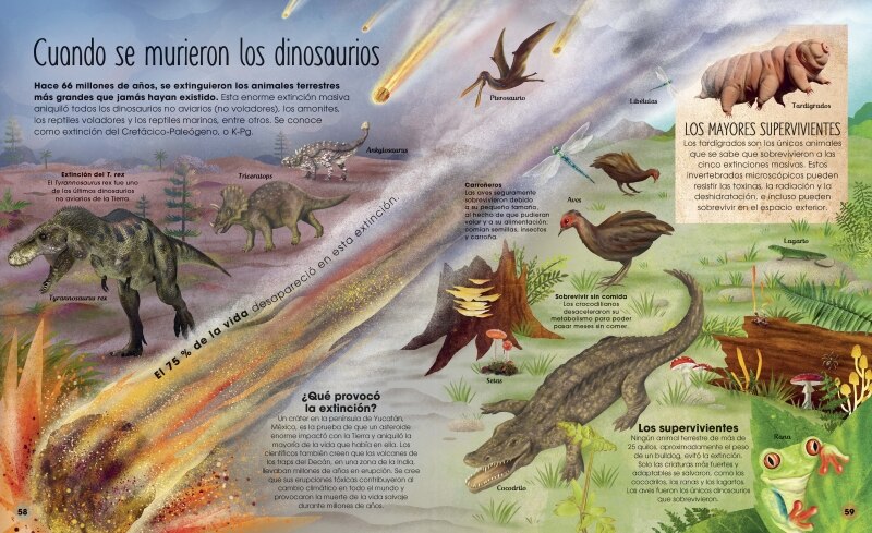 Imagen 5 de La vida secreta de los dinosaurios  (Tapa dura)