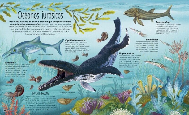 Imagen 7 de La vida secreta de los dinosaurios  (Tapa dura)