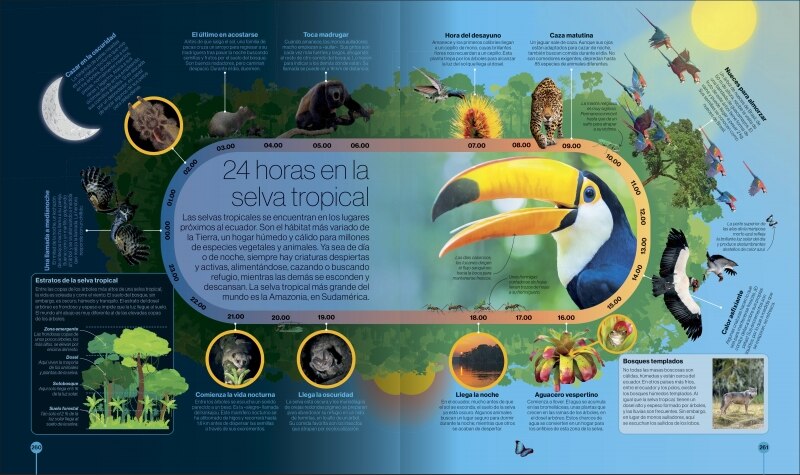 Los ciclos de la naturaleza: Recorridos visuales por el mundo natural  (Tapa dura) 2