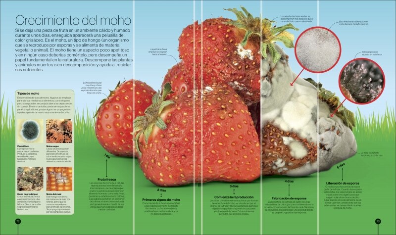 Los ciclos de la naturaleza: Recorridos visuales por el mundo natural  (Tapa dura) 7