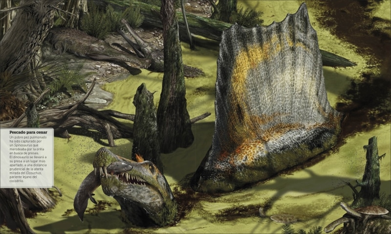 Atlas de dinosaurios y otras criaturas prehistóricas: La vida prehistórica en mapas  (Tapa dura) 5