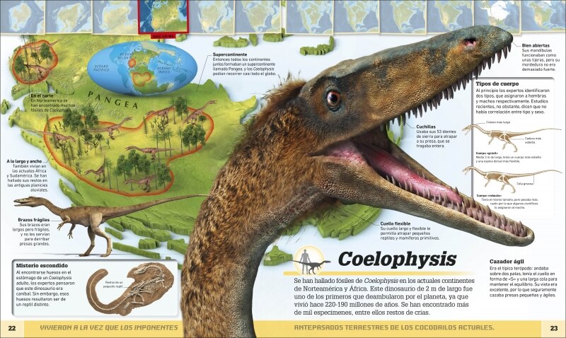 Atlas de dinosaurios y otras criaturas prehistóricas: La vida prehistórica en mapas  (Tapa dura) 6