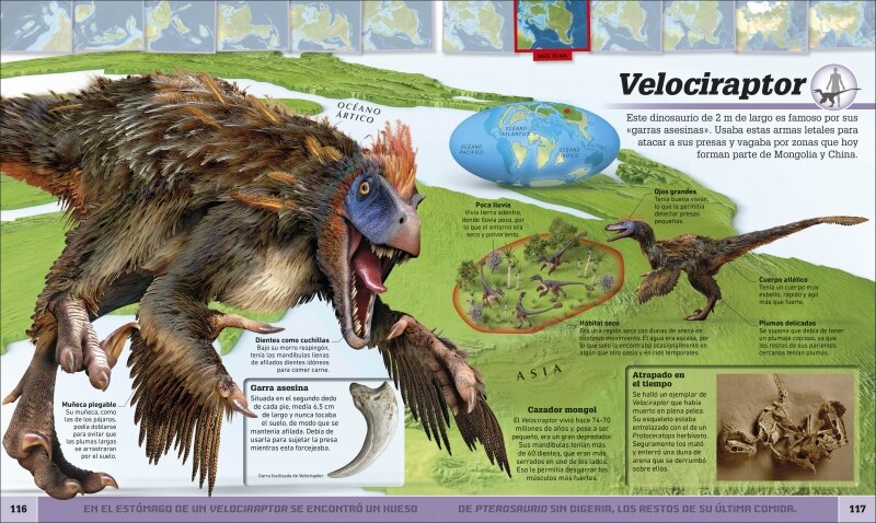 Atlas de dinosaurios y otras criaturas prehistóricas: La vida prehistórica en mapas  (Tapa dura) 7