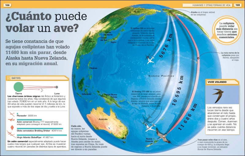 ¡Increíble pero cierto!. Nueva edición: Miles de curiosidades y comparaciones visuales (Capa dura) 4