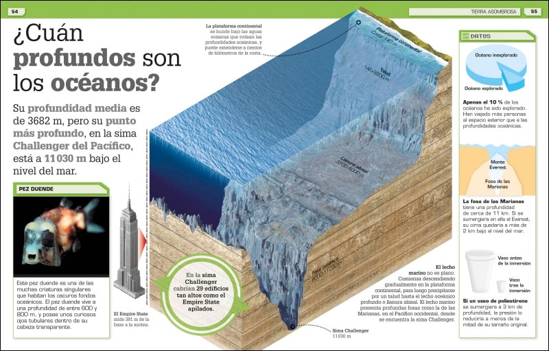 ¡Increíble pero cierto!. Nueva edición: Miles de curiosidades y comparaciones visuales (Capa dura) 6