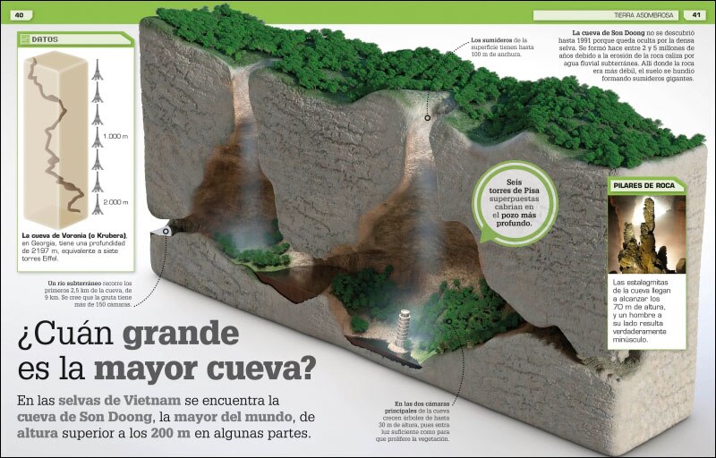 ¡Increíble pero cierto!. Nueva edición: Miles de curiosidades y comparaciones visuales (Capa dura) 7