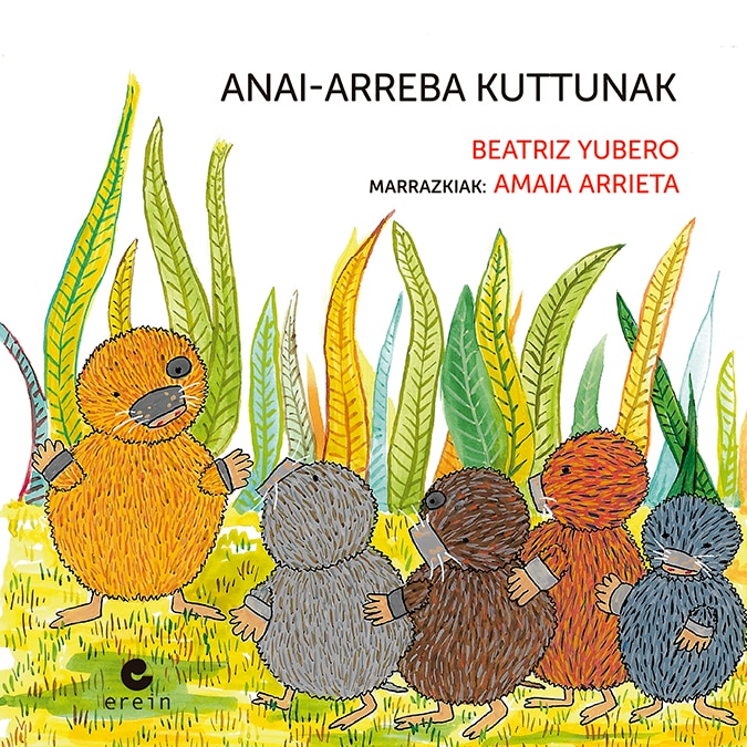 Anai-arreba kuttunak (Capa mole) 1