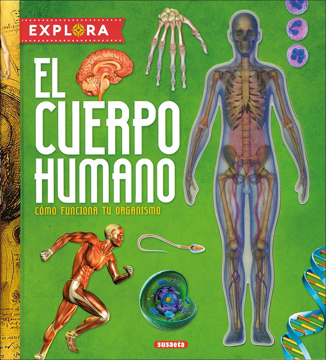 Imagem 0 de El cuerpo humano