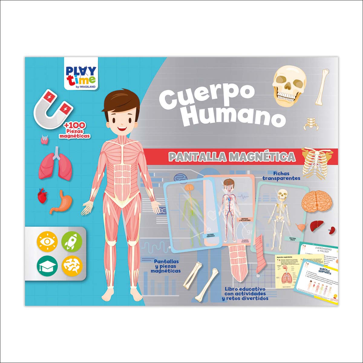 PANTALLA MAGNETICA - EL CUERPO HUMANO 1