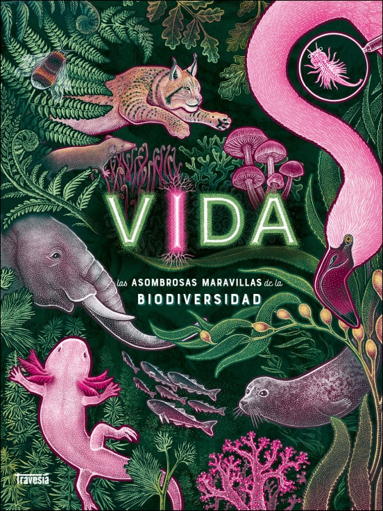 Imagem 0 de Vida: Las asombrosas maravillas de la bioldiversidad (Capa dura)