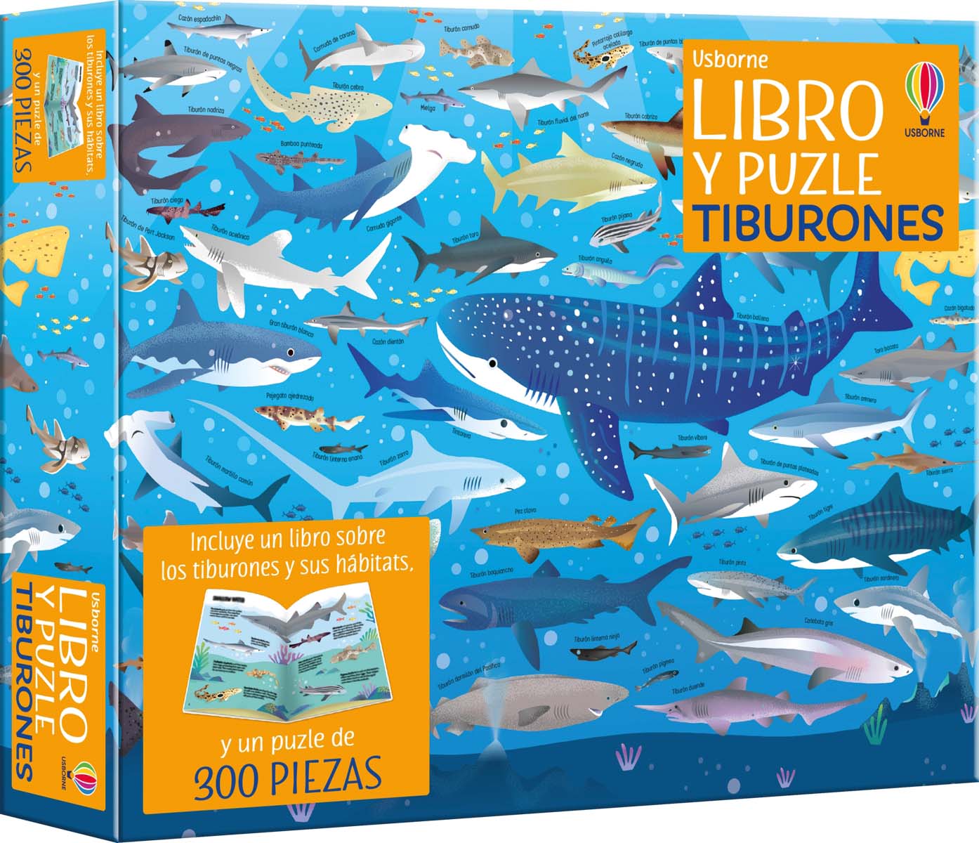 Tiburones (Capa mole) 1