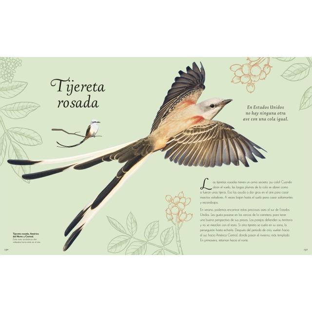 Antología de aves extraordinarias (Planeta curioso) (Capa dura) 2