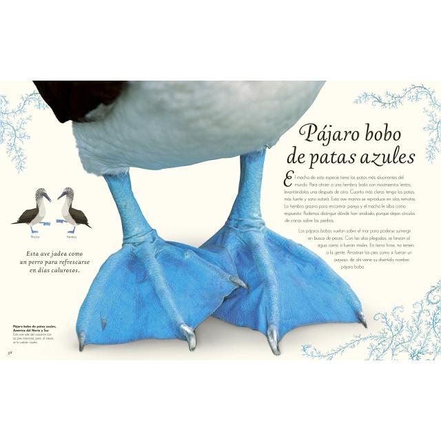 Antología de aves extraordinarias (Planeta curioso) (Capa dura) 5