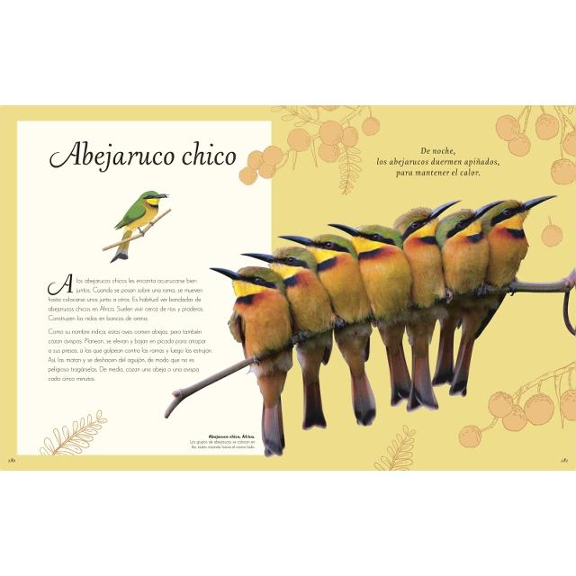 Antología de aves extraordinarias (Planeta curioso) (Capa dura) 7