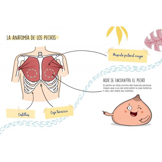 Tus pechos molan: Aprende a quererlos (Capa mole) 3