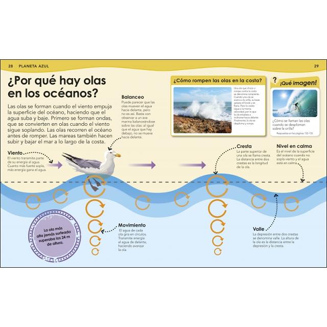 ¿Sabías qué? Océanos: Respuestas geniales a preguntas sorprendentes (Capa dura) 6