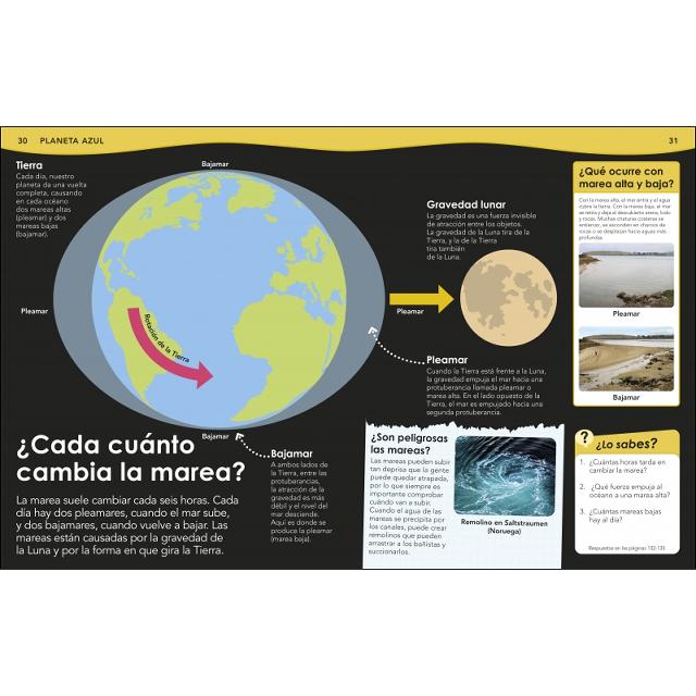 ¿Sabías qué? Océanos: Respuestas geniales a preguntas sorprendentes (Capa dura) 7