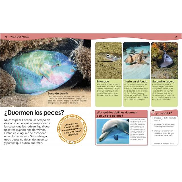 ¿Sabías qué? Océanos: Respuestas geniales a preguntas sorprendentes (Capa dura) 8