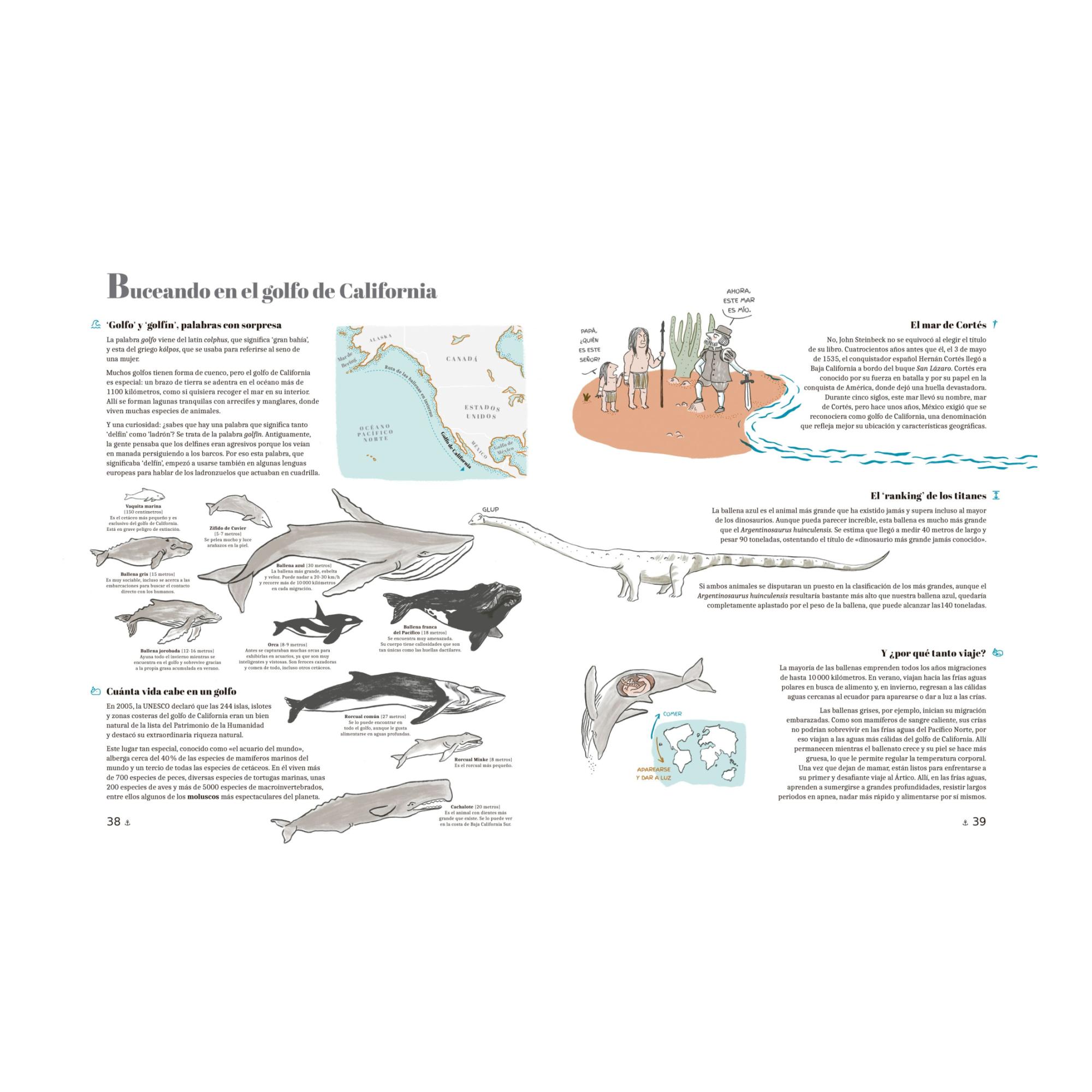 El libro de los mares extraordinarios 4