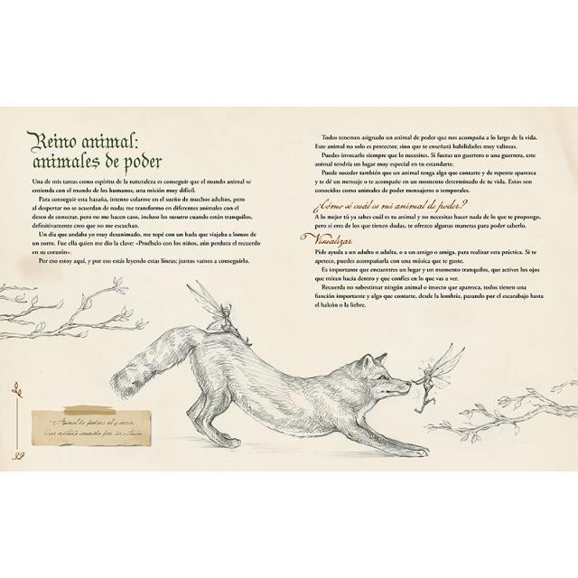Magia. Tu cuaderno secreto: Criaturas, amuletos y hechizos (Capa dura) 3