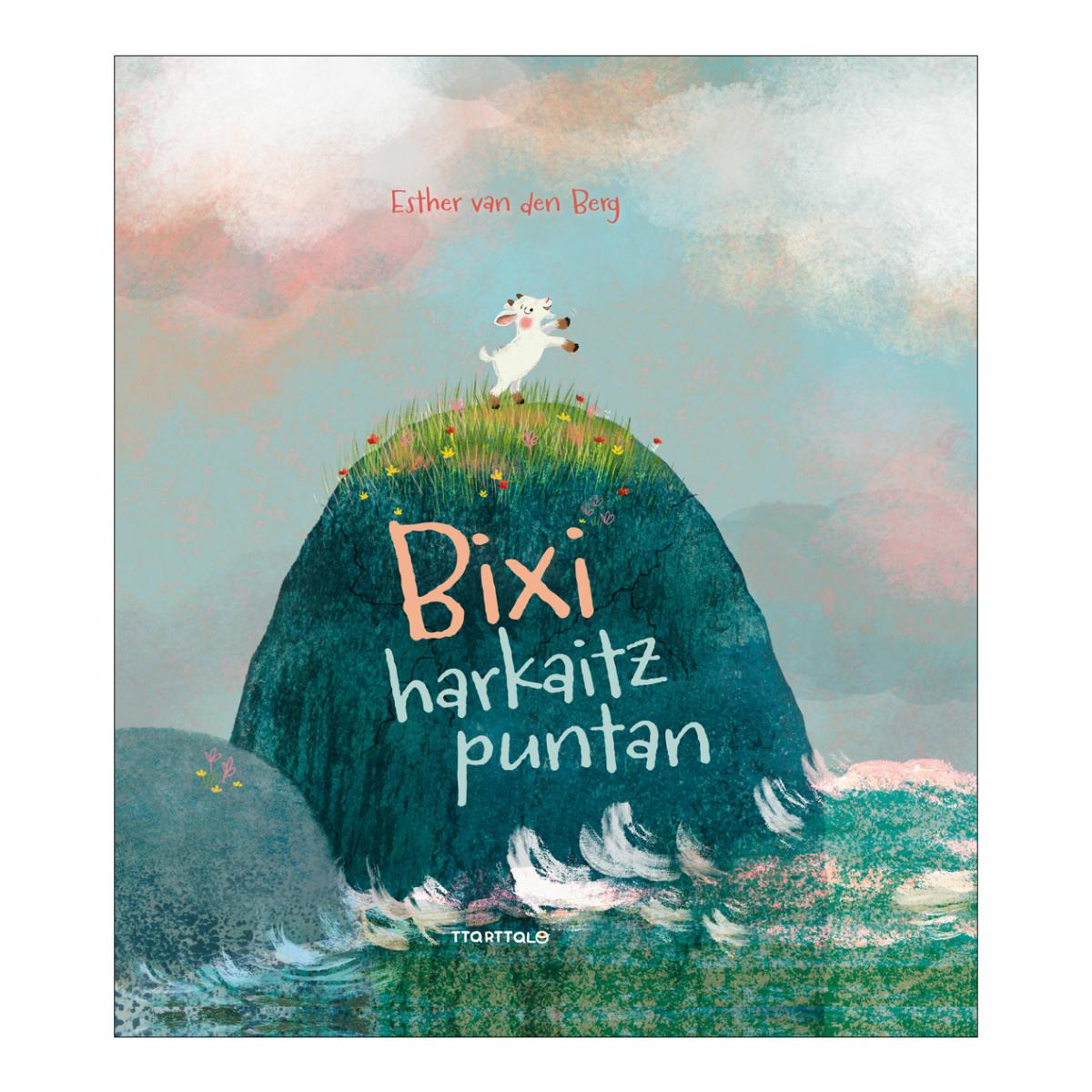 Bixi harkaitz-puntan (Capa dura) 1