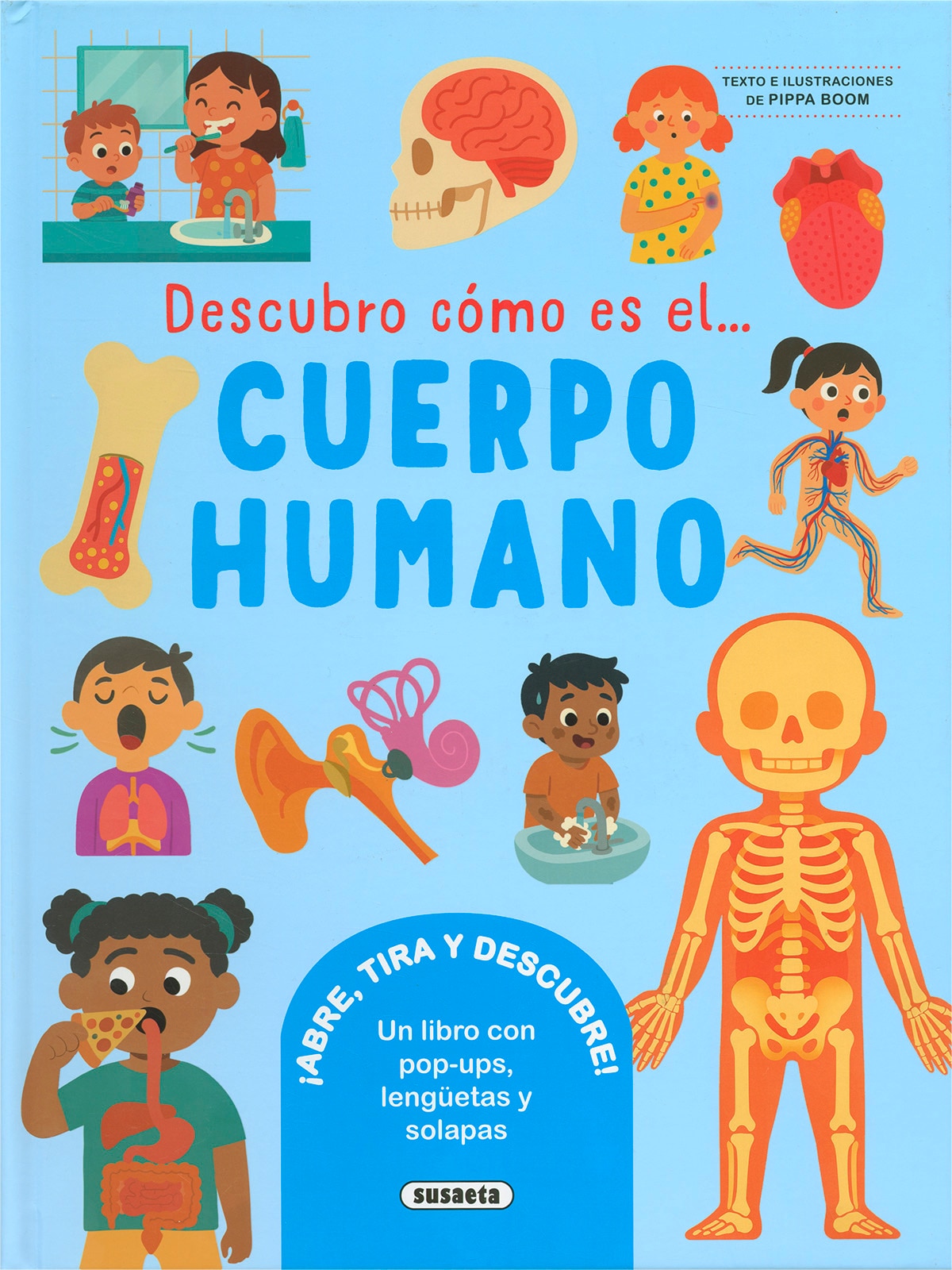 Descubre como es el cuerpo humano 1